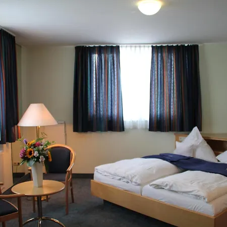 Hotel Trip Zum Riesen 4*