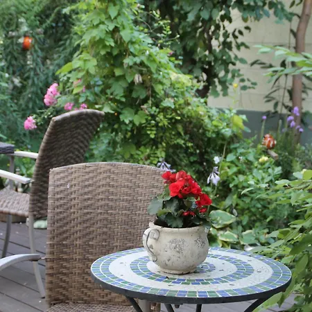 Trip Zum Riesen Hanau