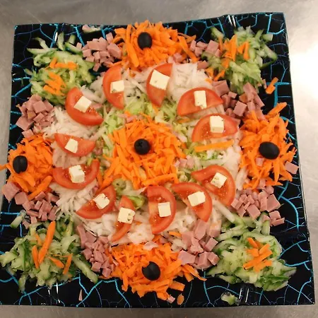 Trip Zum Riesen 酒店 美茵河畔哈瑙