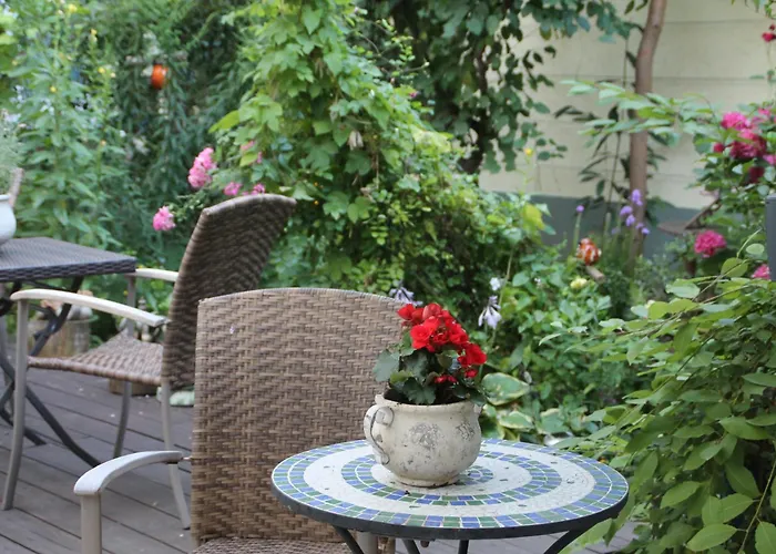 Trip Zum Riesen Hanau