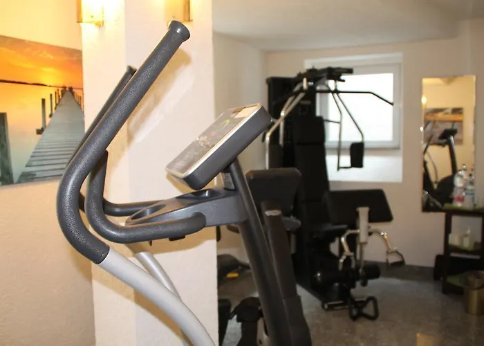 Hotel Trip Zum Riesen 4*