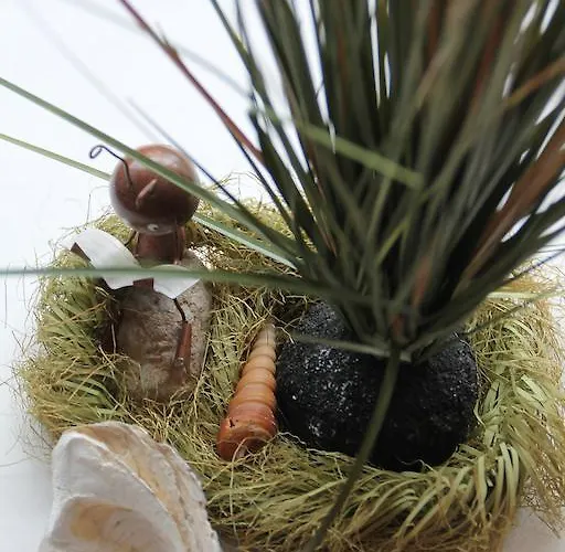 Trip Zum Riesen Ξενοδοχείο 4*